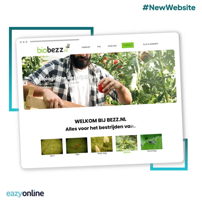 Een social-mediapost van Eazyonline over een nieuwe website